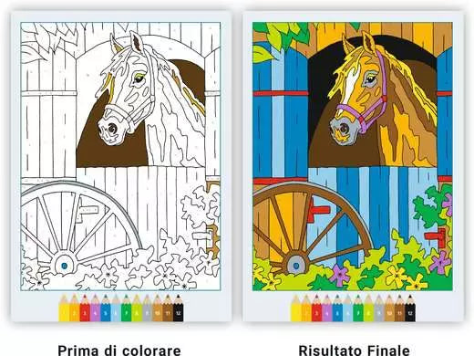 CreArt Album da Colorare 7+ - Cavalli