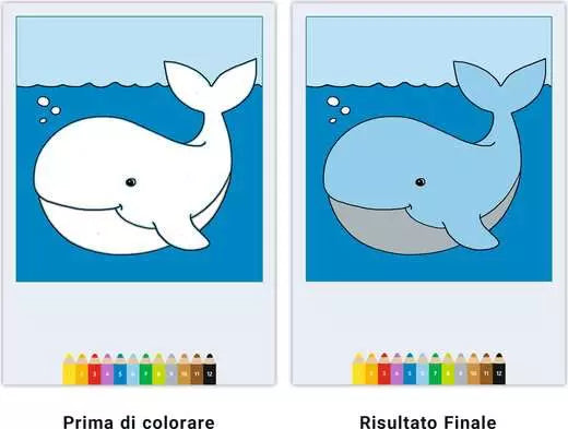 CreArt Album da Colorare 3+ - Scopri gli Animali