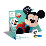 Mickey Gattona con Me