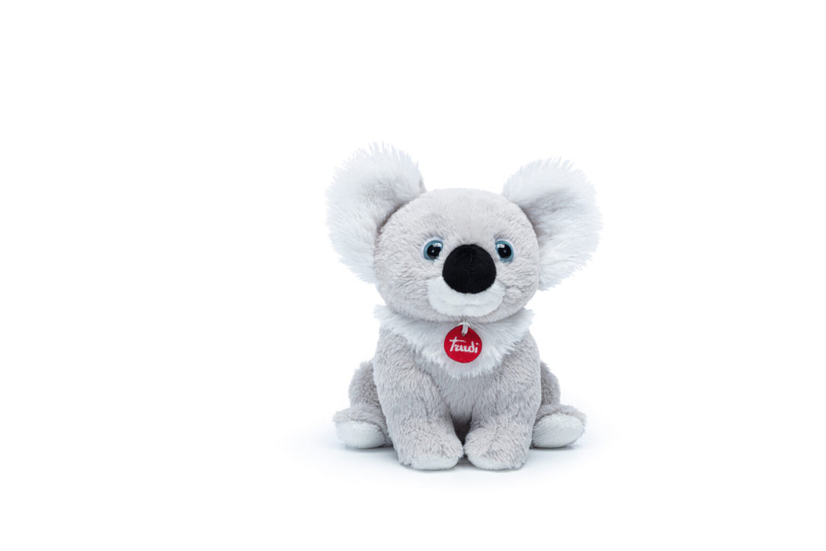 Puppy Koala M