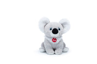 Puppy Koala M