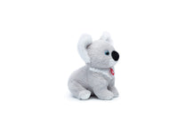 Puppy Koala M