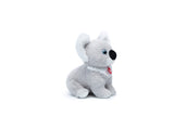 Puppy Koala M