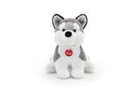 Puppy Husky M