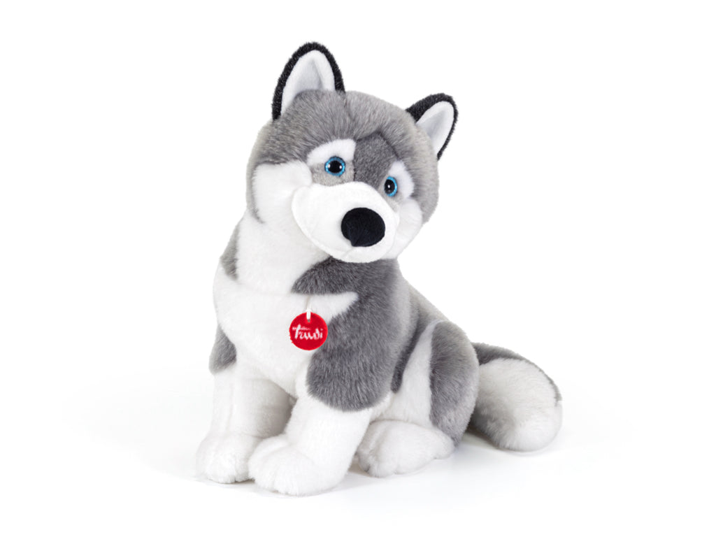 Husky Marcus Taglia L