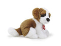 St. Bernard Bob S