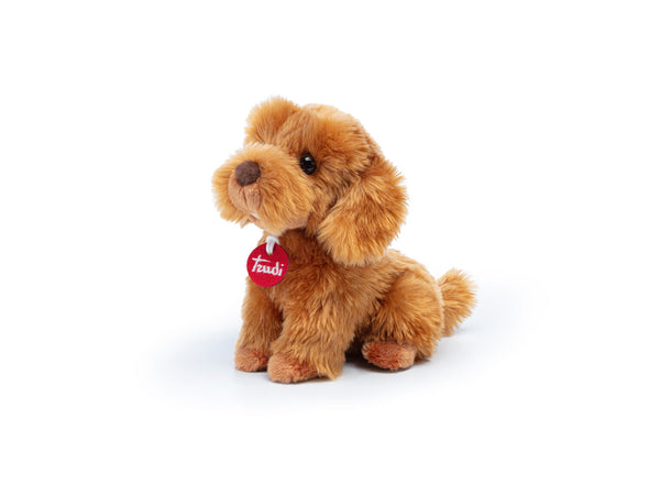 Barboncino Toy Oliver