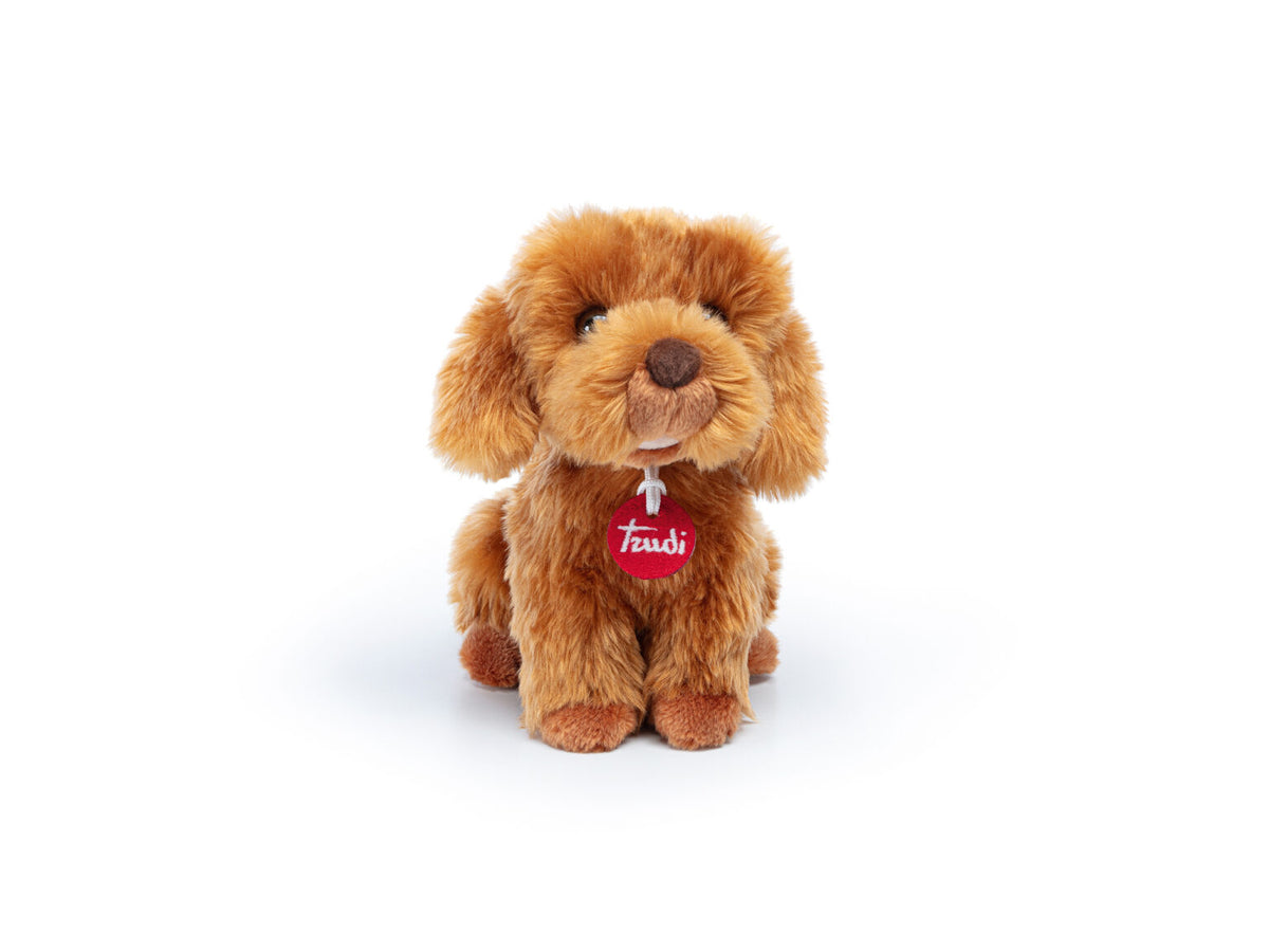 Barboncino Toy Oliver S Seduto