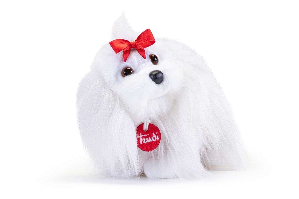 Maltese Lulù, taglia M