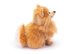 Pomerania Biscuit, taglia S