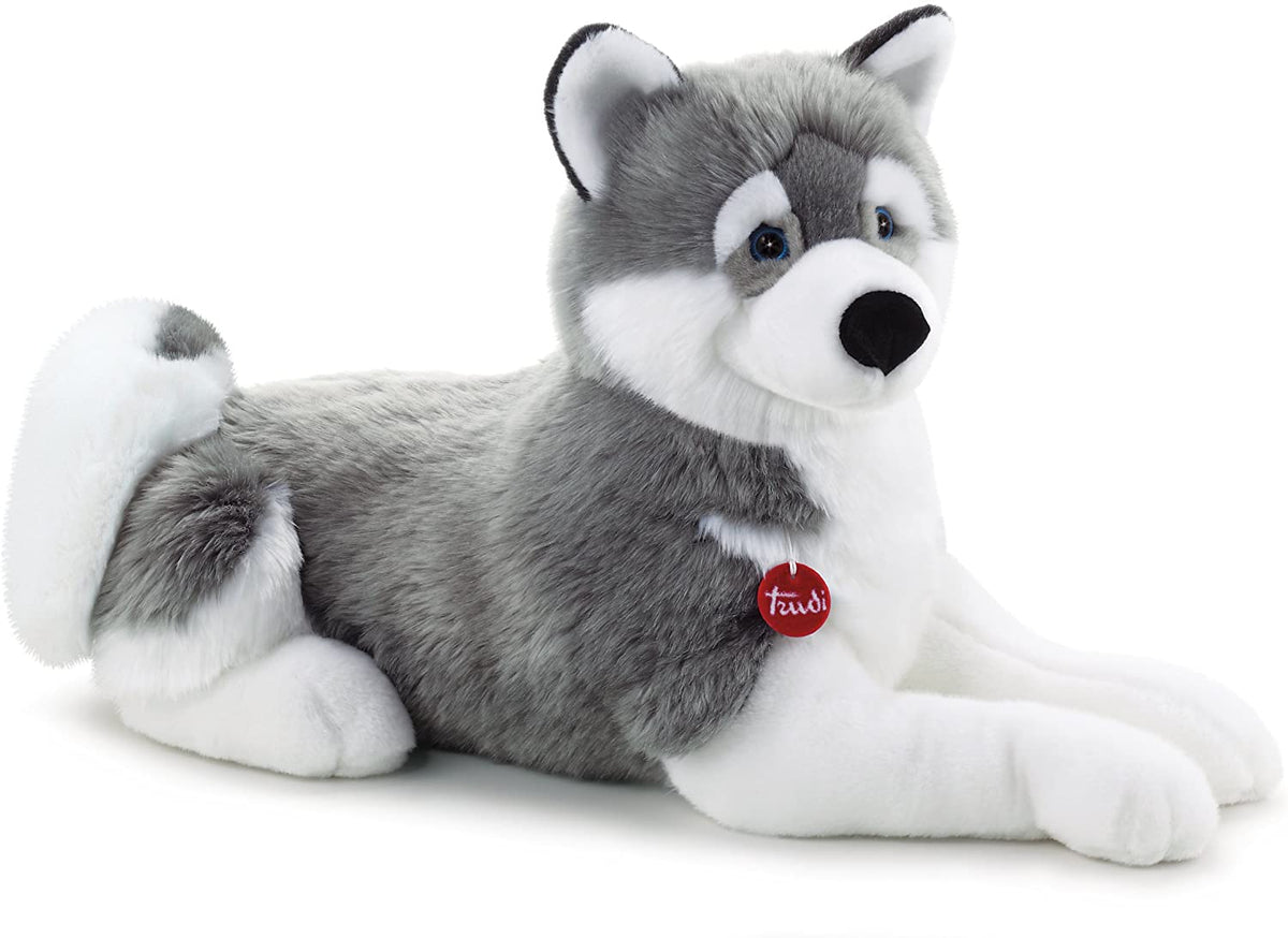 Husky Marcus 