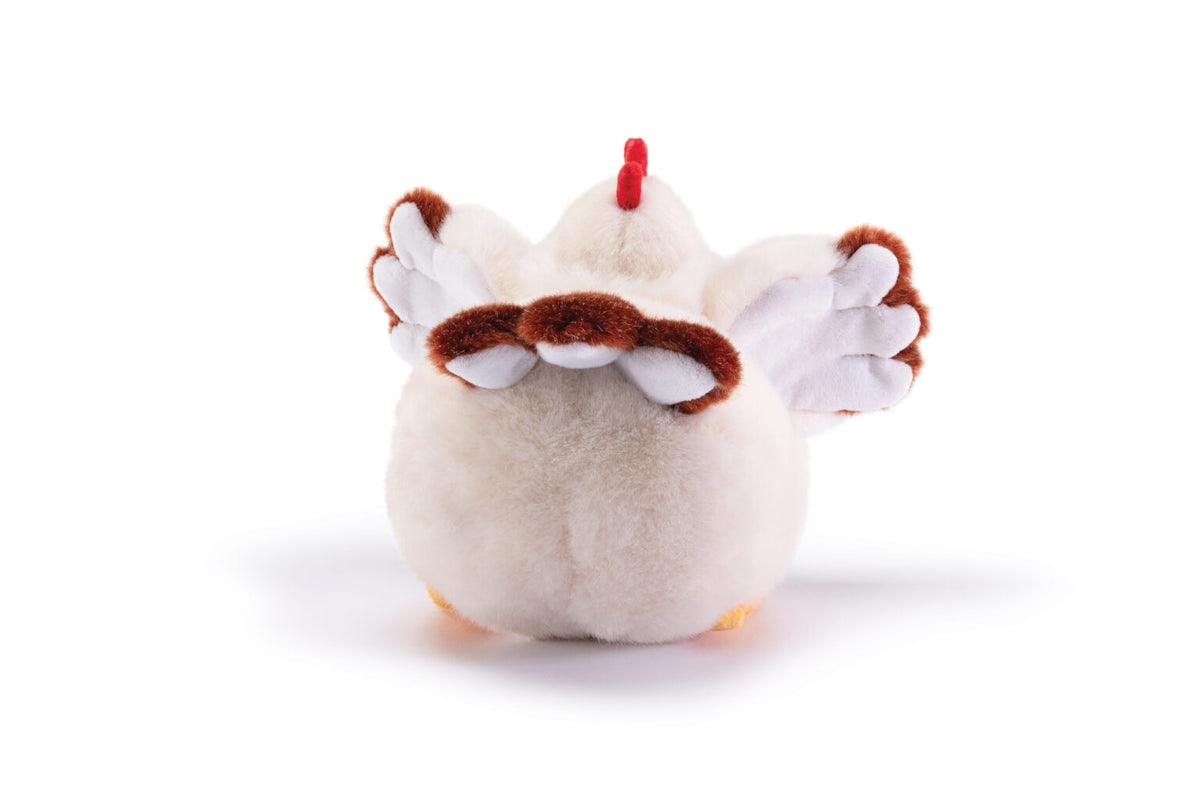 Gallina Daisy S
