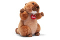 Marmot