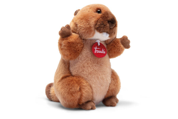 Marmot