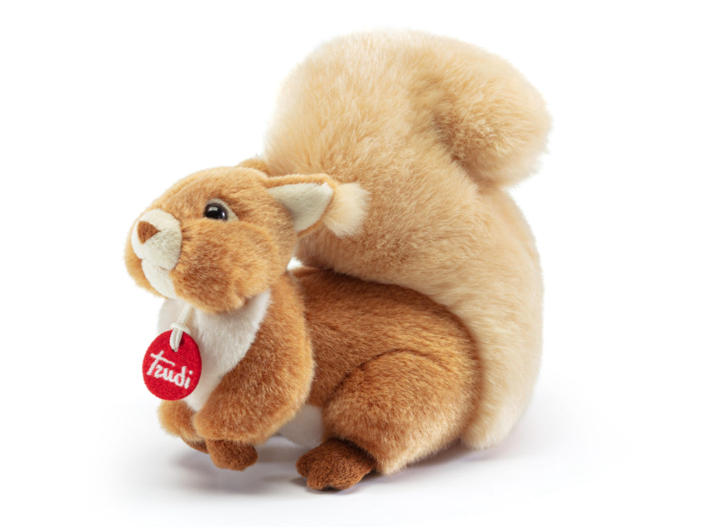 Squirrel Ginger M