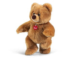 Orso Ettore, taglia M