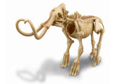 Scava e crea lo scheletro di un Mammut