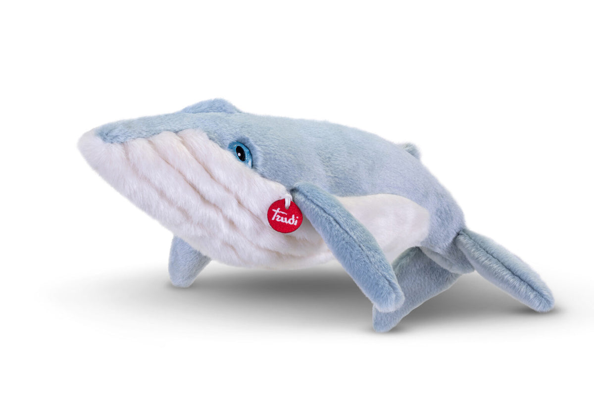 Balenottera Azzurra, taglia M