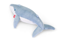 Balenottera Azzurra, taglia M