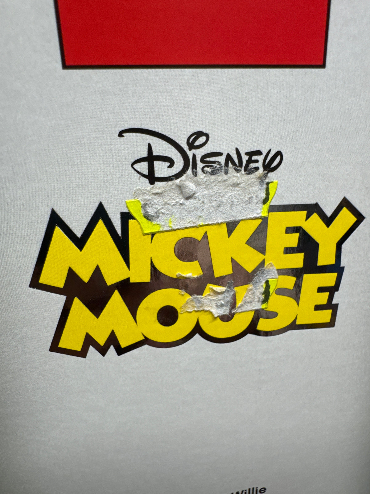21317 Steamboat Willie