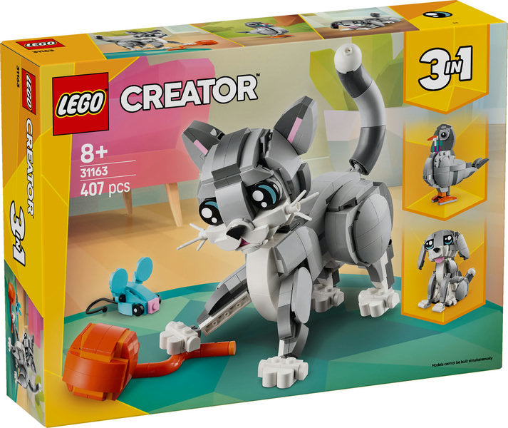 31163 Gatto giocoso