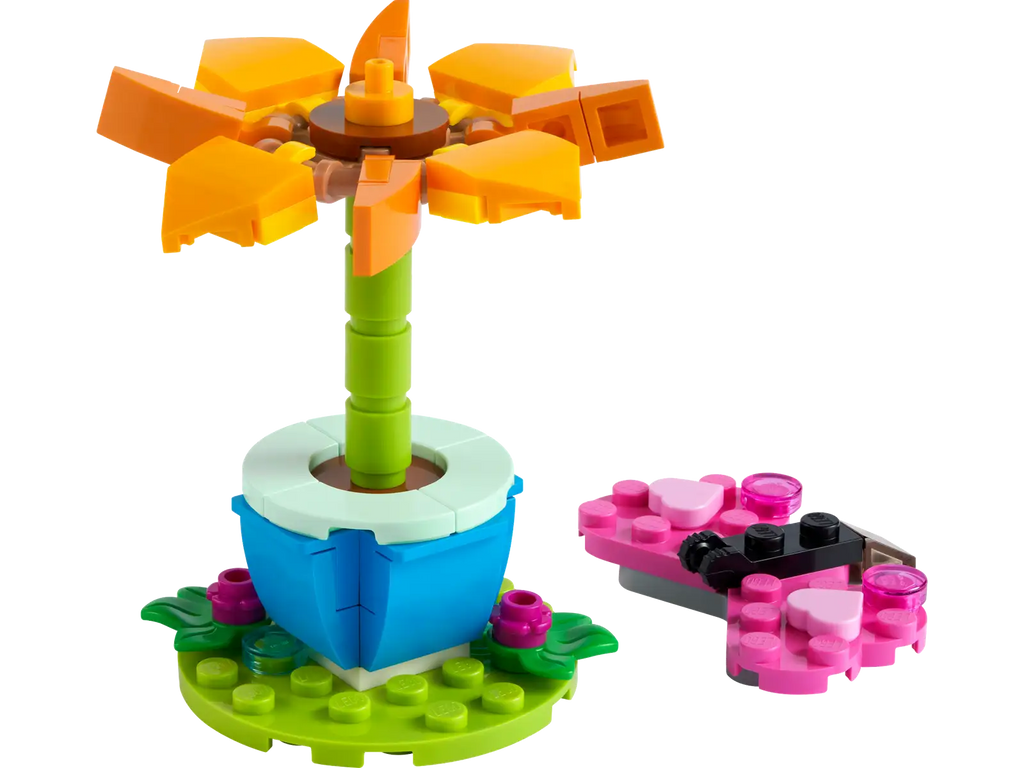 30417 Fiore e farfalla