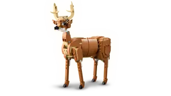 31166 Cavallo meraviglioso