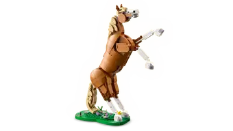 31166 Cavallo meraviglioso