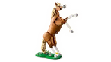 31166 Cavallo meraviglioso