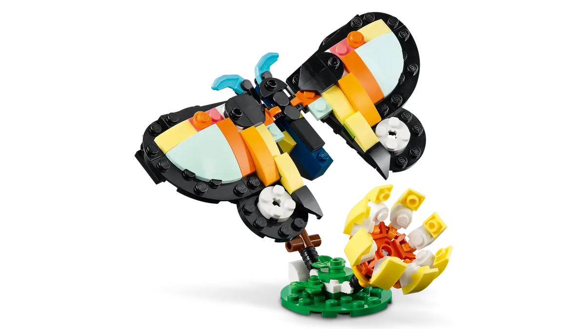 31173 Animali selvatici: tucano tropicale