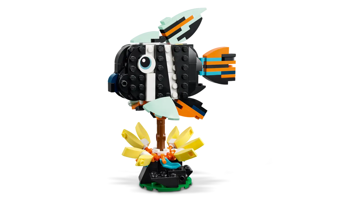 31173 Animali selvatici: tucano tropicale