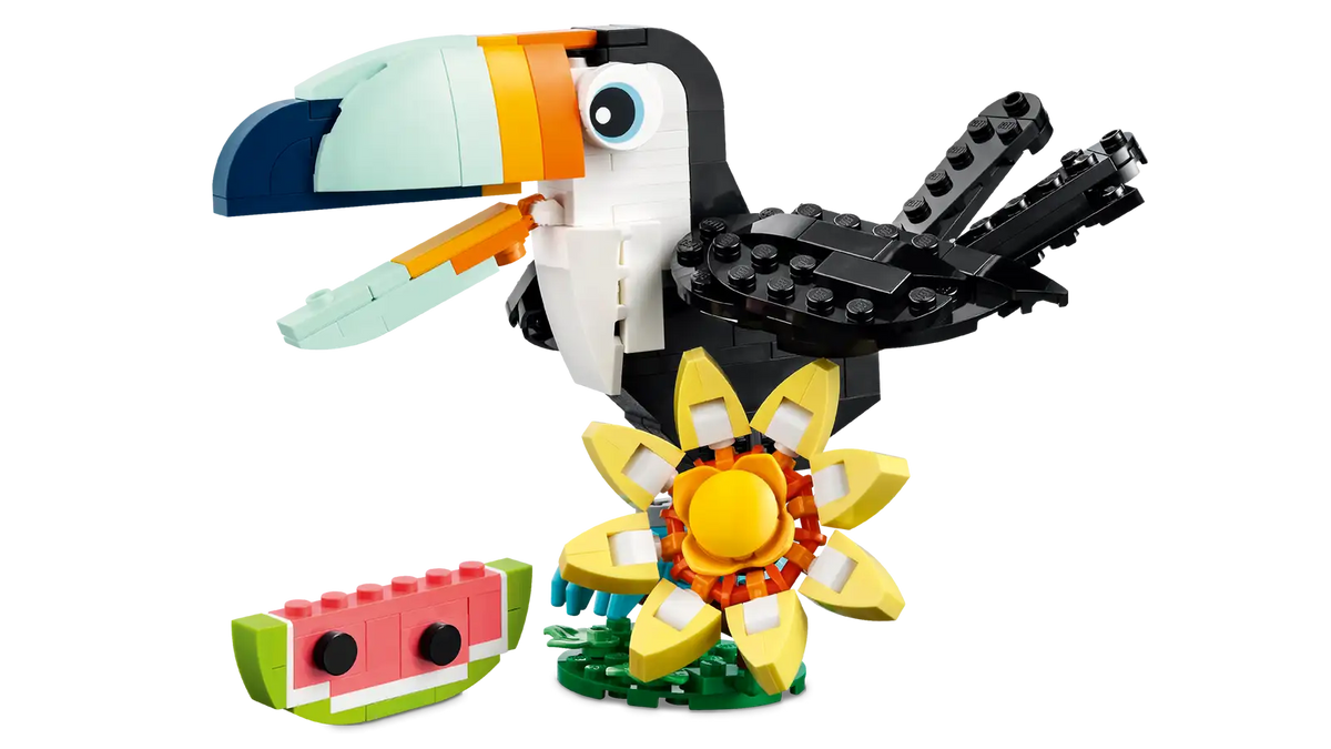 31173 Animali selvatici: tucano tropicale