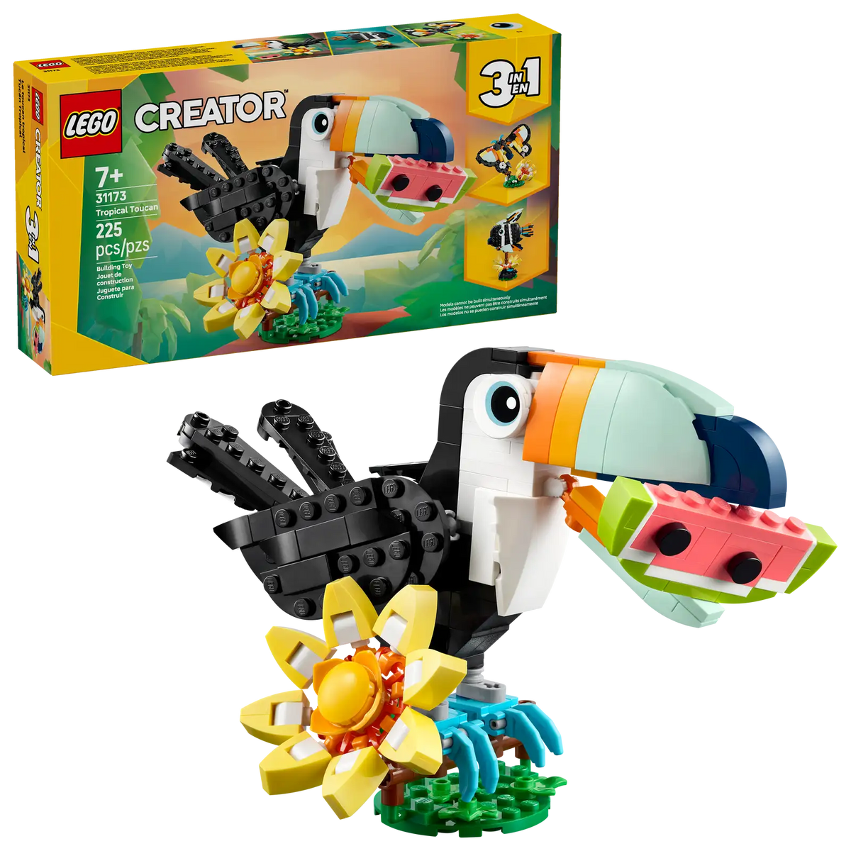 31173 Animali selvatici: tucano tropicale