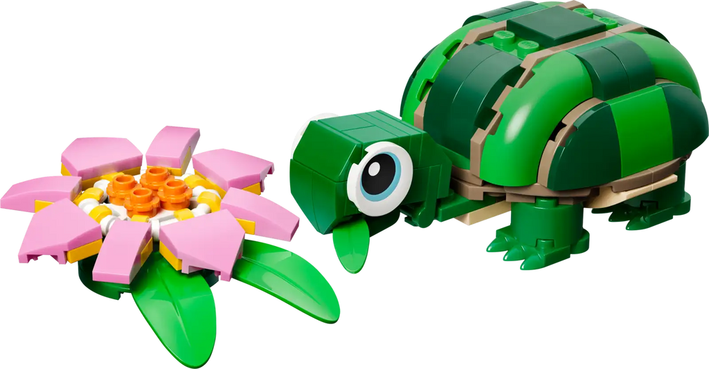 31377 Tartaruga con fiore di ninfea