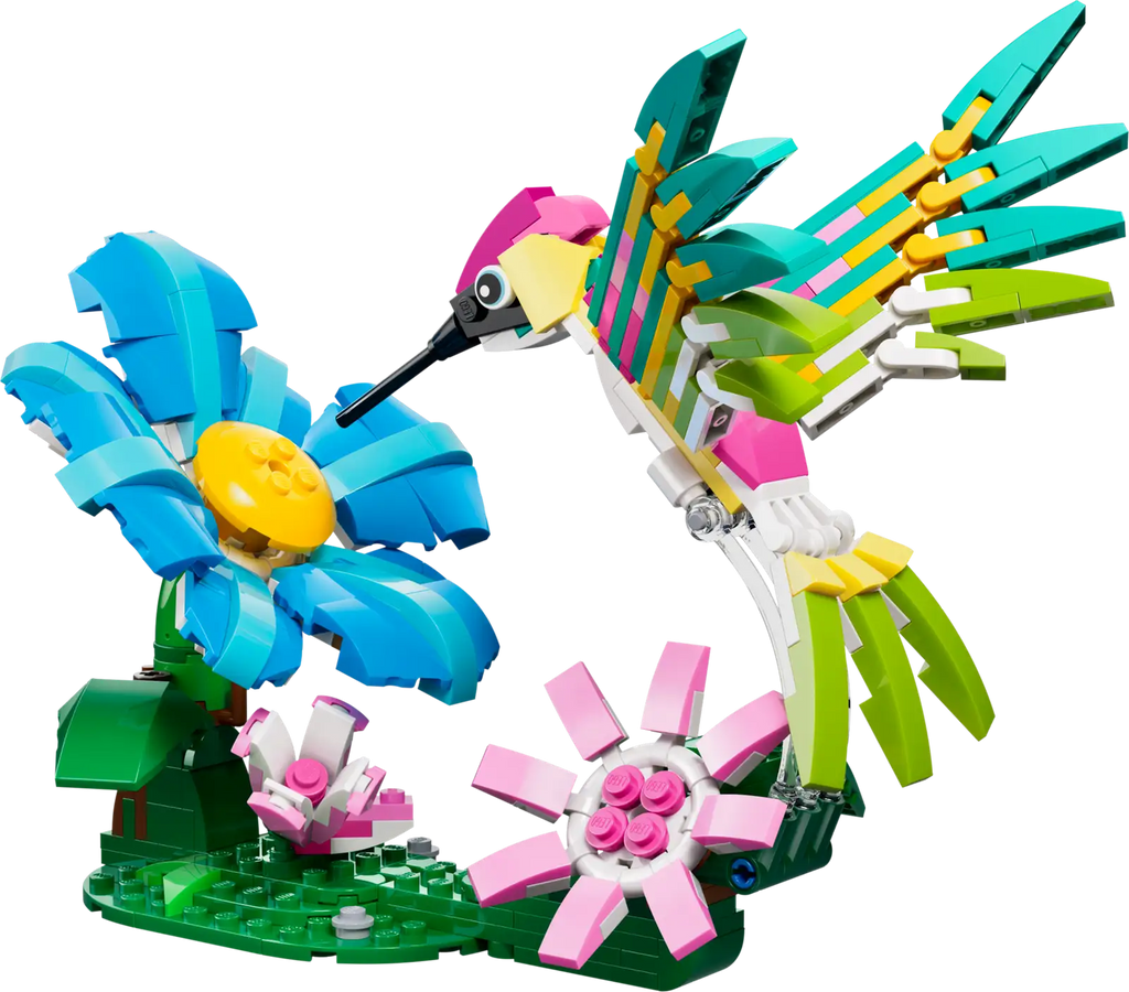 31384 Animali selvatici: colibrì variopinto