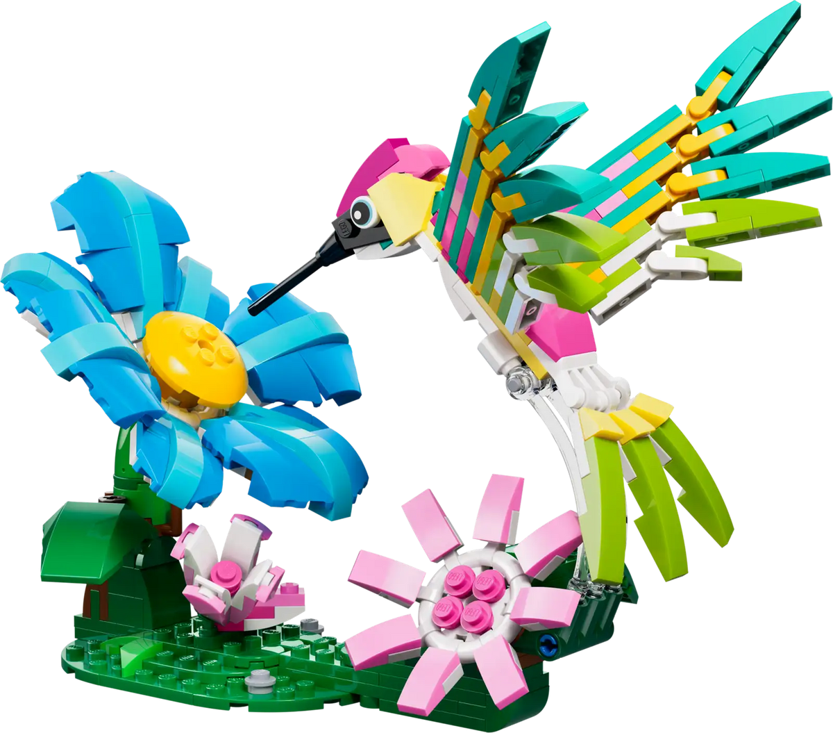 31384 Animali selvatici: colibrì variopinto