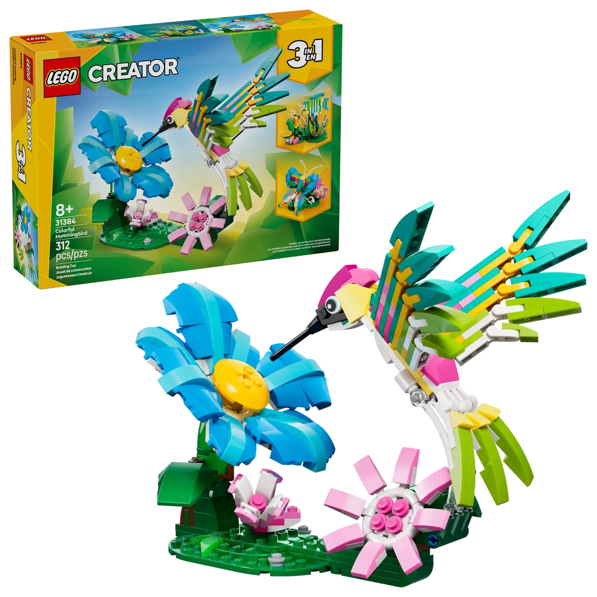 31384 Animali selvatici: colibrì variopinto
