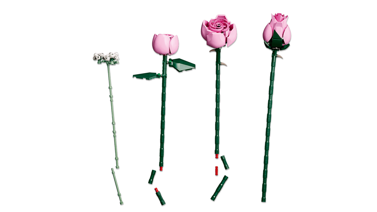 10374 Bouquet di Rose Rosa