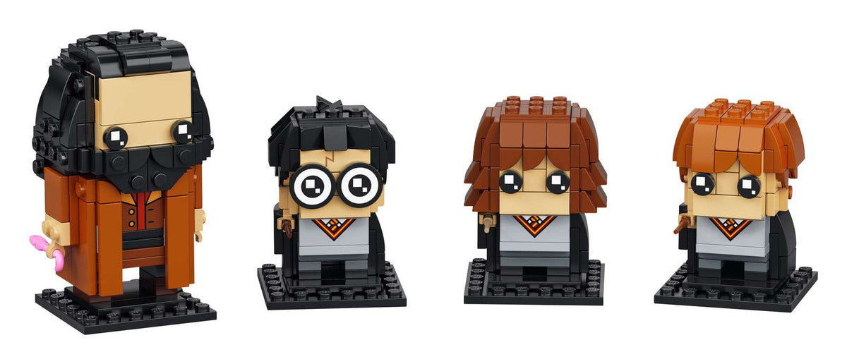 40495 Harry , Hermione , Ron e Hagrid