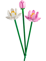 40647 Fiori di loto