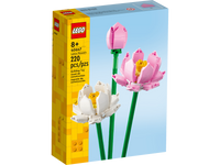 40647 Fiori di loto