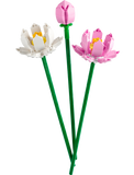 40647 Fiori di loto