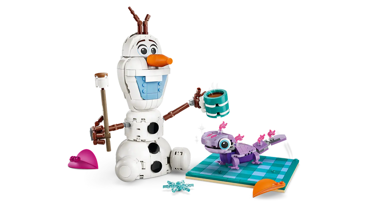 43287 Il divertente picnic di Olaf e Bruni