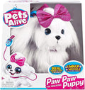 Pets Alive a spasso con Lilli, il cucciolo Maltese