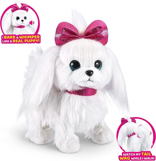 Pets Alive a spasso con Lilli, il cucciolo Maltese