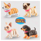 Booty Shakin' Pups - Pets Alive