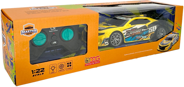 Auto radiocomandata 1:22 assortita