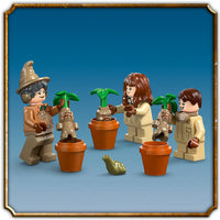 76445 Castello di Hogwarts: lezione di erbologia