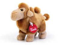 Cammello Jamil taglia XXS