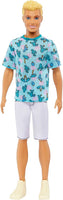 Ken Fashionistas HJT10